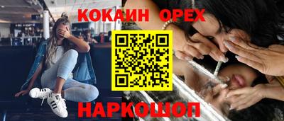 apvp Канаш