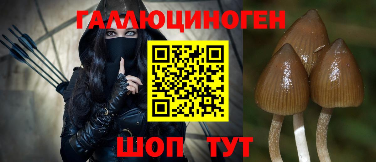 Долгопрудный  где продают   Вход с VPN  Псилоцибиновые грибы Psilocybe  Псилоцибиновые грибы мицелий 
